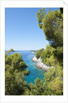 Coastline, Korcula island, Croatia by Anonymous