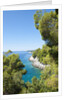 Coastline, Korcula island, Croatia by Anonymous