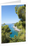 Coastline, Korcula island, Croatia by Anonymous