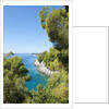 Coastline, Korcula island, Croatia by Anonymous