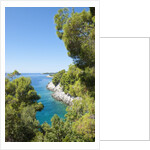Coastline, Korcula island, Croatia by Anonymous