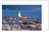 View of old town, Korcula, Croatia by Anonymous