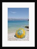 Colorful sunshade at beach, Lumbarda, Korcula island, Croatia by Anonymous