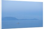 Lumbarda, Raznjic Point, Korcula island, Croatia by Anonymous