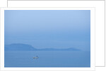 Lumbarda, Raznjic Point, Korcula island, Croatia by Anonymous