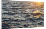 Sea at sunset, Korcula island, Croatia by Anonymous