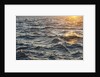 Sea at sunset, Korcula island, Croatia by Anonymous