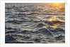 Sea at sunset, Korcula island, Croatia by Anonymous