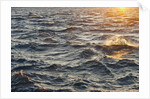 Sea at sunset, Korcula island, Croatia by Anonymous