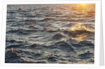 Sea at sunset, Korcula island, Croatia by Anonymous