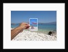 Hand holding photograph depicting deck chair and sunshade, Lumbarda, Korcula island, Croatia by Anonymous