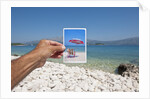 Hand holding photograph depicting deck chair and sunshade, Lumbarda, Korcula island, Croatia by Anonymous