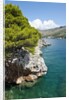Beach near Zaton, Dubrovnik, Croatia by Anonymous