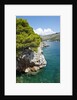 Beach near Zaton, Dubrovnik, Croatia by Anonymous