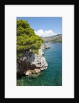 Beach near Zaton, Dubrovnik, Croatia by Anonymous