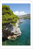 Beach near Zaton, Dubrovnik, Croatia by Anonymous
