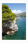 Beach near Zaton, Dubrovnik, Croatia by Anonymous