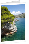 Beach near Zaton, Dubrovnik, Croatia by Anonymous