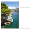 Beach near Zaton, Dubrovnik, Croatia by Anonymous