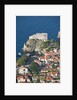 View of old town, Dubrovnik, Croatia by Anonymous