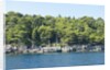Coastline, Lokrum Island, Dubrovnik, Croatia by Anonymous