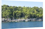 Coastline, Lokrum Island, Dubrovnik, Croatia by Anonymous