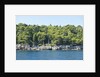 Coastline, Lokrum Island, Dubrovnik, Croatia by Anonymous