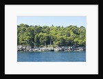 Coastline, Lokrum Island, Dubrovnik, Croatia by Anonymous