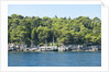 Coastline, Lokrum Island, Dubrovnik, Croatia by Anonymous