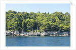 Coastline, Lokrum Island, Dubrovnik, Croatia by Anonymous