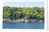 Coastline, Lokrum Island, Dubrovnik, Croatia by Anonymous