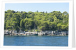 Coastline, Lokrum Island, Dubrovnik, Croatia by Anonymous