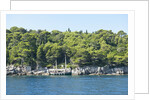 Coastline, Lokrum Island, Dubrovnik, Croatia by Anonymous