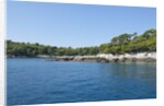 Coastline, Lokrum Island, Dubrovnik, Croatia by Anonymous