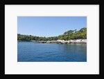 Coastline, Lokrum Island, Dubrovnik, Croatia by Anonymous