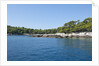Coastline, Lokrum Island, Dubrovnik, Croatia by Anonymous