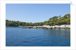 Coastline, Lokrum Island, Dubrovnik, Croatia by Anonymous