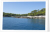 Coastline, Lokrum Island, Dubrovnik, Croatia by Anonymous