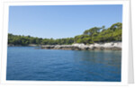 Coastline, Lokrum Island, Dubrovnik, Croatia by Anonymous