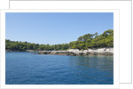 Coastline, Lokrum Island, Dubrovnik, Croatia by Anonymous