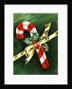 Vintage Illustration of Christmas Candy Cane by Anonymous