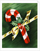Vintage Illustration of Christmas Candy Cane by Anonymous