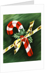 Vintage Illustration of Christmas Candy Cane by Anonymous
