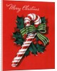 Vintage Illustration of Christmas Candy Cane by Anonymous