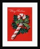 Vintage Illustration of Christmas Candy Cane by Anonymous