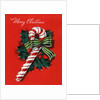 Vintage Illustration of Christmas Candy Cane by Anonymous