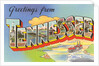 Greetings from Tennessee by Anonymous