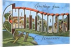 Greetings from Chattanooga, Tennessee by Anonymous