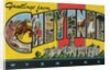 Greetings from Cheyenne, Wyoming by Anonymous