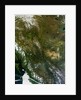 Western Canada by Anonymous